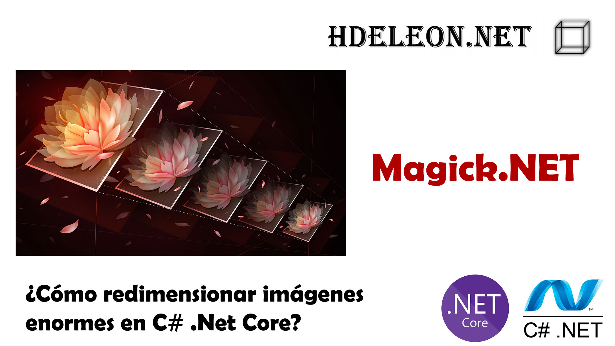 ¿Cómo redimensionar imágenes enormes en C# .Net Core?, Magick.Net