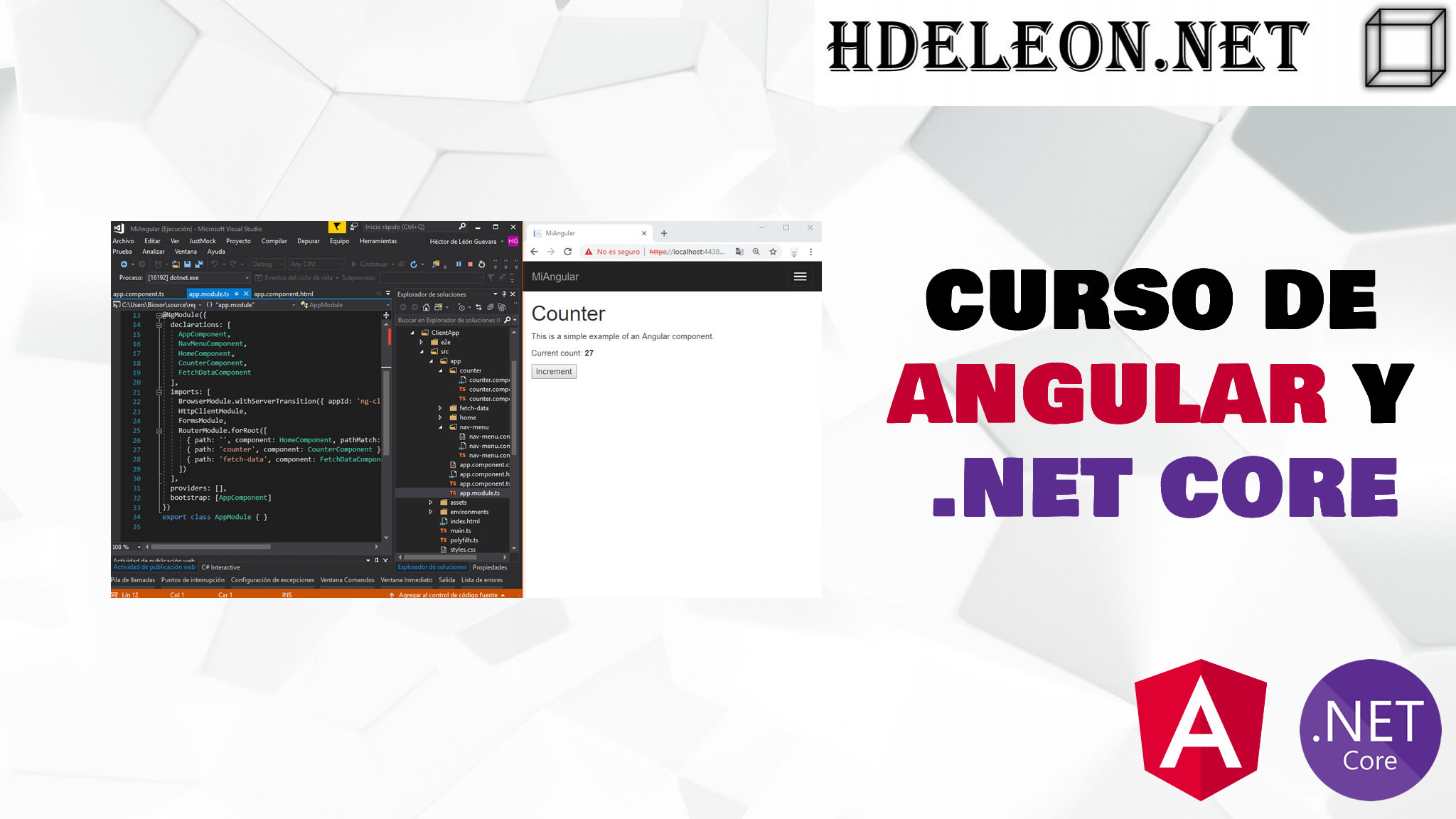 Curso gratis de Angular y C# .Net Core